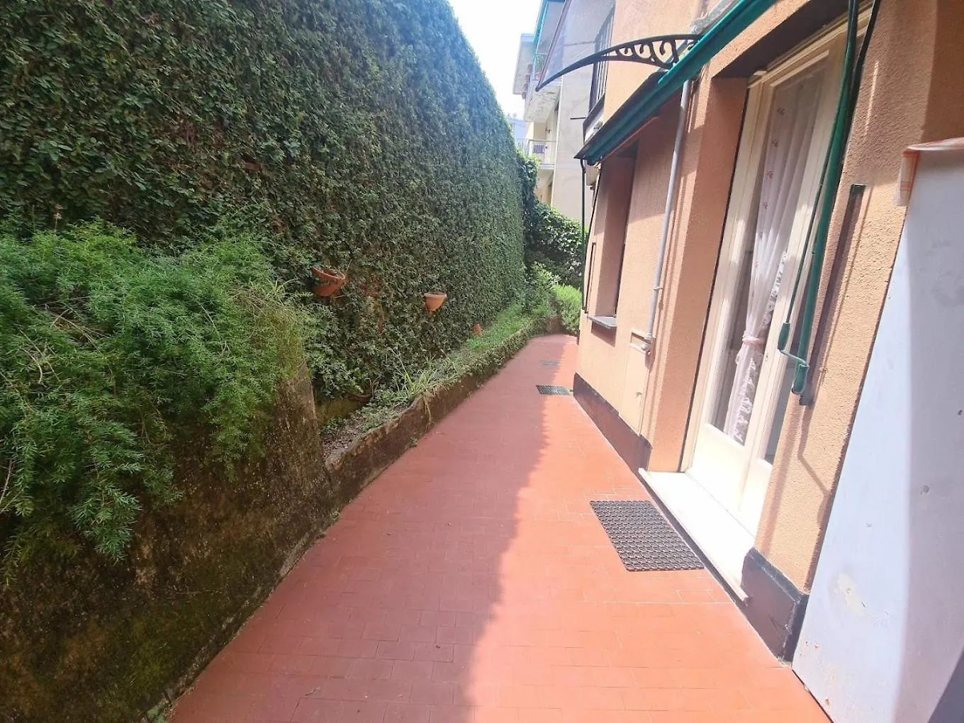 Angolo Verde contacts